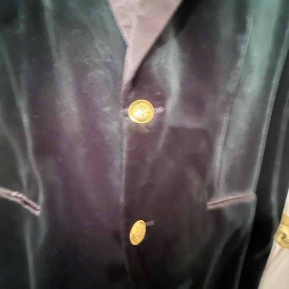 Zara Velvet Blazer - Picture 5 of 5